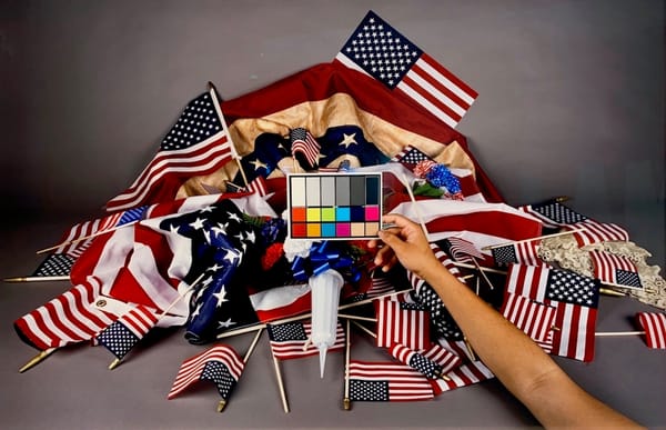 Women and Minority Artists Flourish Amid Elite Indulgence at the 2019 Armory Show