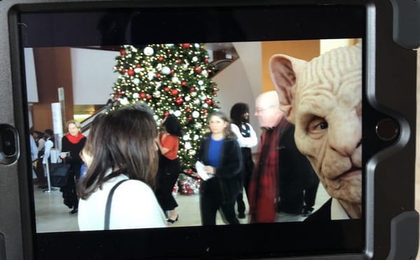 A Cat Woman Guides an Unusual, Interactive Tour of the Walt Disney Concert Hall