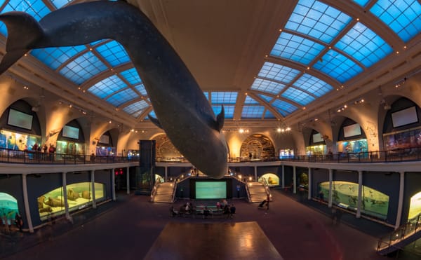 The American Museum of Natural History Cancels Event Honoring Brazil's Far-Right President