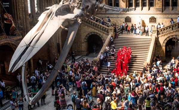 Climate Activists Staged a Die-In at London’s Natural History Museum