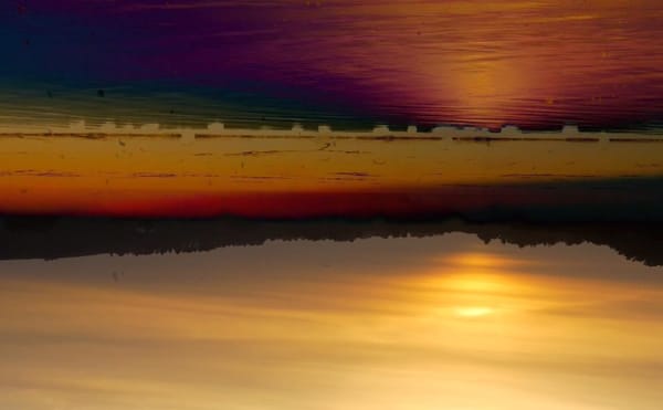 The Experimental Cinema of This Year's Whitney Biennial Film Curator