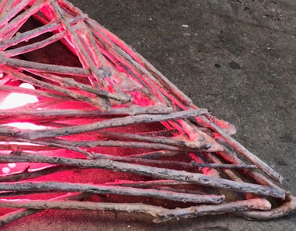 Hunter College Presents Part I of the Spring 2019 MFA Thesis Exhibition, Do You Believe In Life After Love?