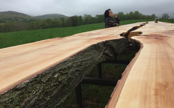 A Sculpture Conjures the Secret Life of Trees