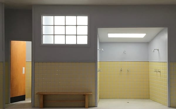 Visions of Home, from Dream Memories to Trump Country