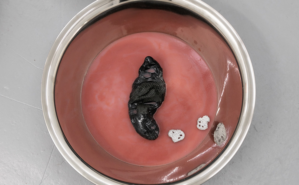 Escaping the Neo-Conceptualist Bubble