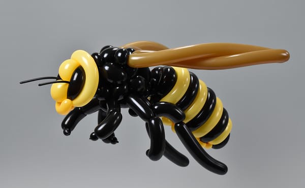 Extreme Balloon Art that Pops