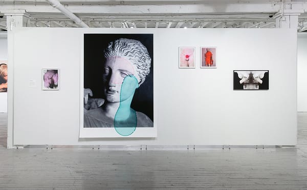 Tilda Swinton Curates Photography Inspired by Virginia Woolf's Orlando