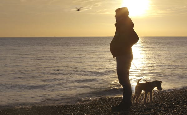 The Story of a Pregnant Man, Told With Sensitivity and Respect