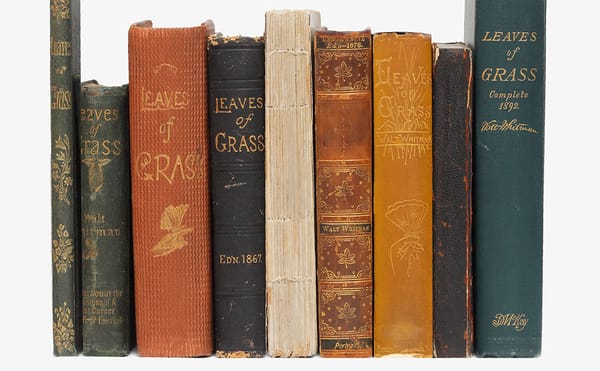 Walt Whitman's Sensuality and Self-Promotion