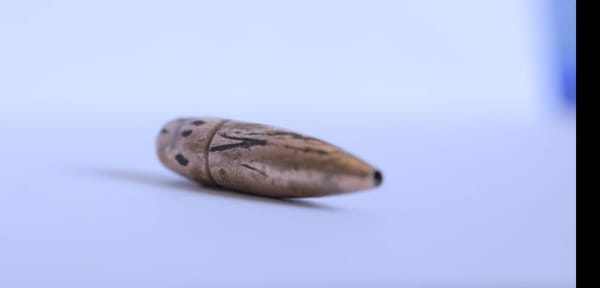 Forensic Architecture Says It Has Found Bullet Linking Whitney Vice Chair to Violence in Gaza, Withdraws from Biennial