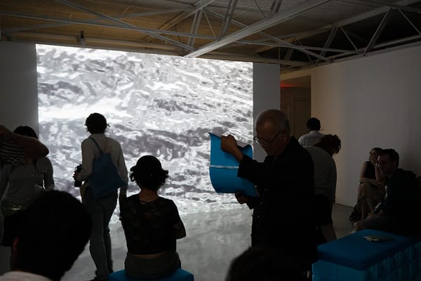 The Bard MFA Thesis Exhibition Say Ever Moves Opens July 20