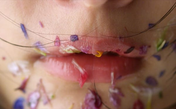 Women Directors Take Risks in New Genre Shorts