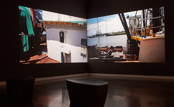 peter campus Sees the Self in Video