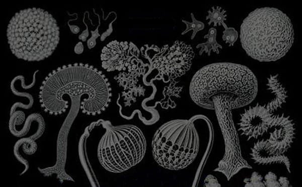 The Unreality of Everyday Life