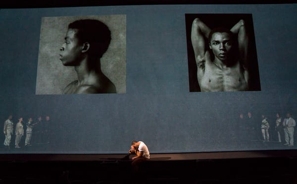 Mining Robert Mapplethorpe’s Legacy, With Missteps