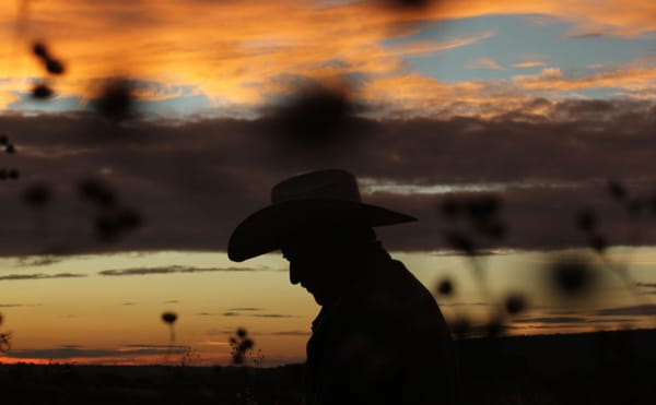 Documentaries That Make New Connections Between the Personal and Political