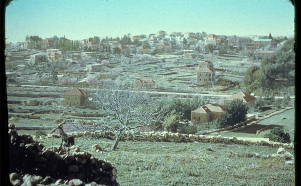 How to See Palestine Whole