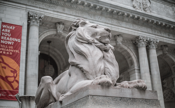 The New York Public Library’s Iconic Lions Are Taking a Cat Nap