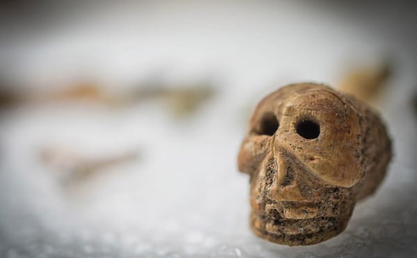 A "Sorcerer's Treasure Trove" Uncovered in Pompeii