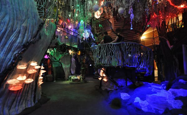 Meow Wolf Violated Living Wage, Santa Fe Court Rules