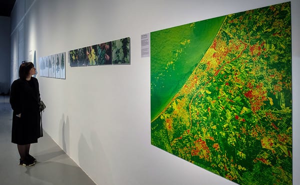 Links Between Bullets and Herbicides Are in the Crosshairs of Forensic Architecture