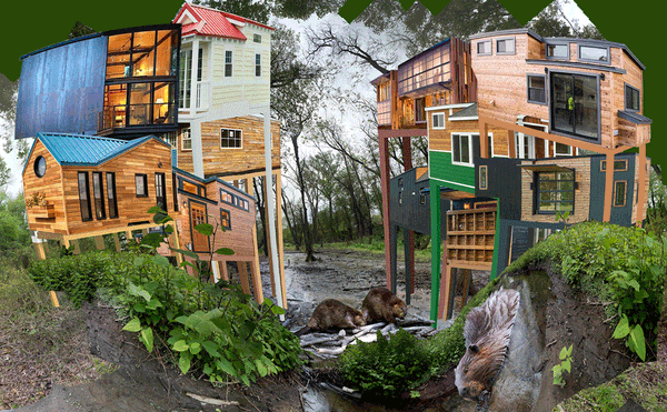 What to See and Do During New York Climate Week