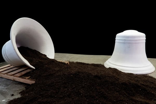 BAM Opens Doors to Its First Dedicated Visual Art Space