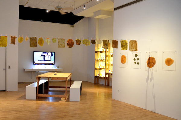 apexart's NYC Open Call Invites Exhibition Proposals in October