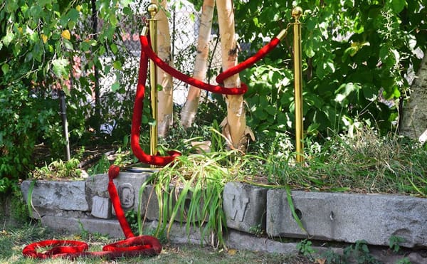 A New Generation of Artists Confronts Environmental and Colonial Issues