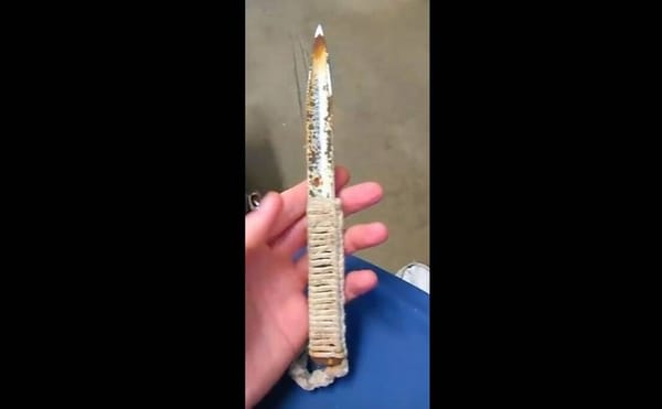 A Florida Prisoner Made a Full Documentary on a Secret Cell Phone