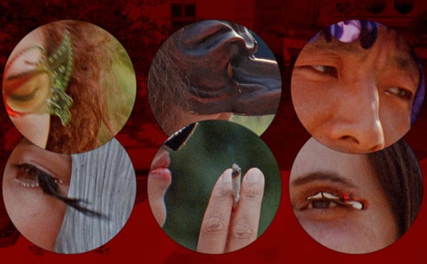 Reimagining Cinema from Nature's Perspective