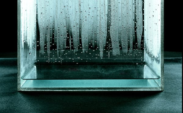 Hear Hans Haacke Discuss His Six-Decade Career