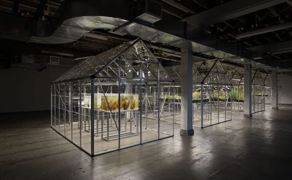 A Greenhouse for Extinct Flora