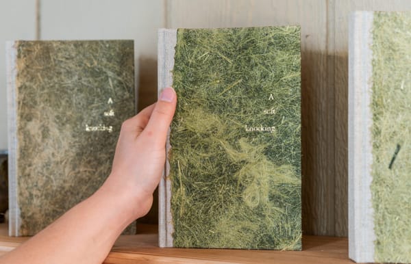 Pacific Northwest College of Art Hosts a Graduate Symposium on Art and Environmental Justice