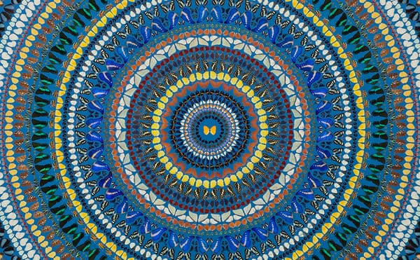 Damien Hirst, Turning In Circles