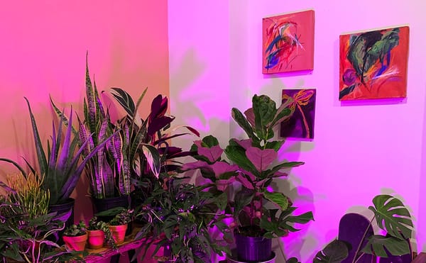 Where Did All of the Art Spaces Go? Greenpoint Gallery Night Enters Its 15th Edition