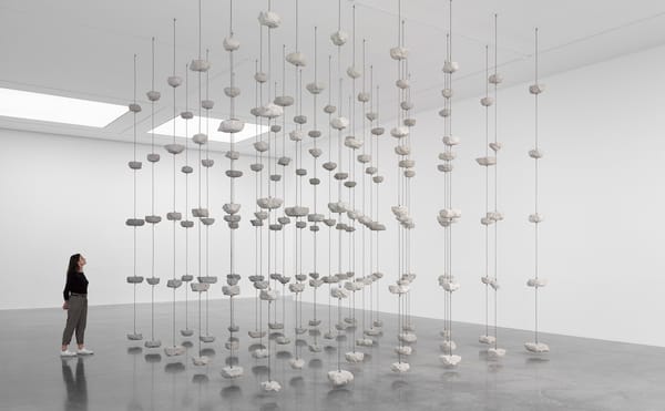 Mona Hatoum's Multiple, Often Contradictory Meanings