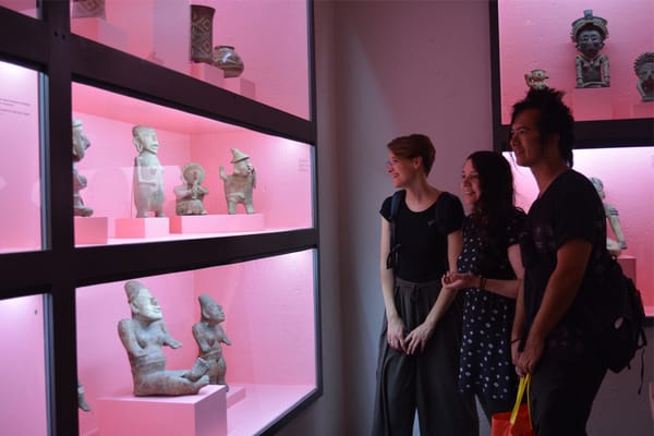 The Nomad MFA at University of Hartford Is Now More Accessible and Affordable