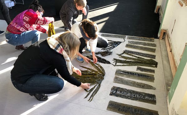 A Symposium for Sea Kelp