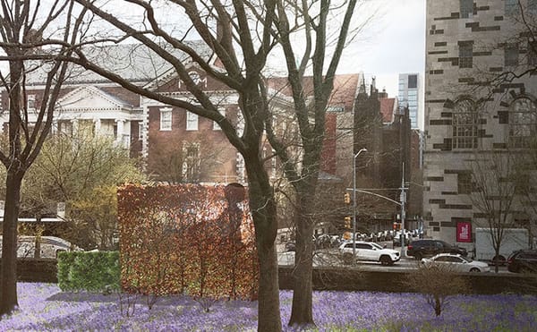 “We Feel Very Betrayed": Community Protests Replacement for J. Marion Sims Monument