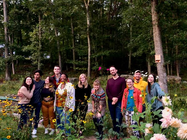 UConn's MFA Art Sale Is Now Live