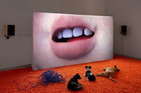 Bard MFA Fall 2019 Information Session Takes Place on Campus on December 6