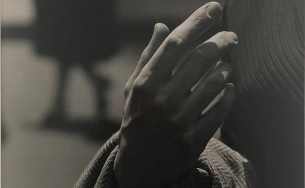 Two Poems by Silvina López Medin