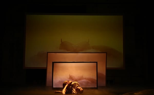 Mourning through Performance, or Performative Mourning?