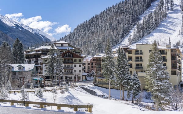 A Museum-Quality Art Collection Is a Surprise Find in This Ski Resort