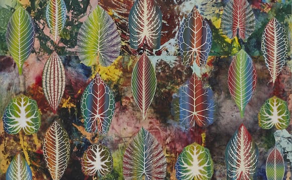 Philip Taaffe, Symbolist and Naturalist