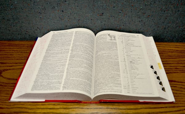 Singular Nonbinary Pronoun “They” Is Merriam-Webster's 2019 Word of the Year