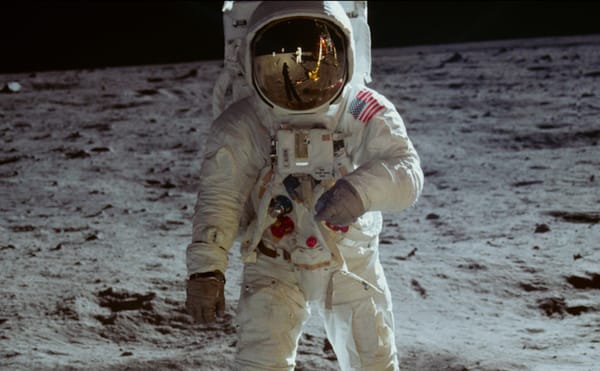 Where to Stream This Year's Nominees For the Most Prestigious Documentary Award