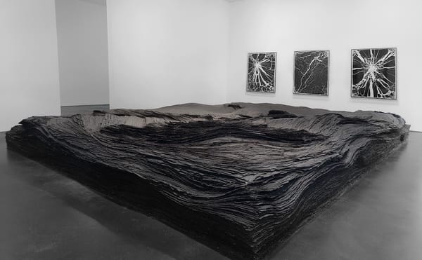 Best of 2019: Our Top 20 United States Art Shows