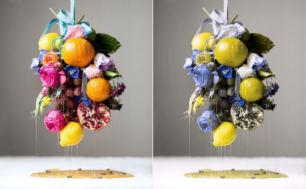 Color-blind Museumgoers in Denver Can Now See Art in Full Color